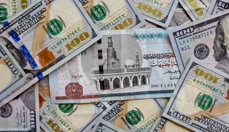 اسعار الدولار في البنوك المصرية